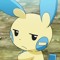cheg