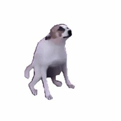 what da dog doin