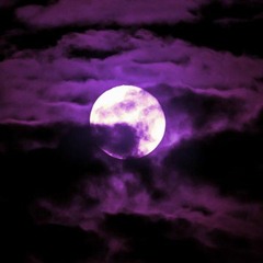moon-strider1