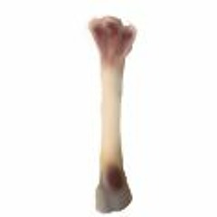 clean bone