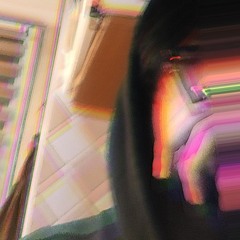 xavlegleprax8_3