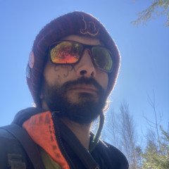 Sunny