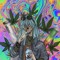 khDs