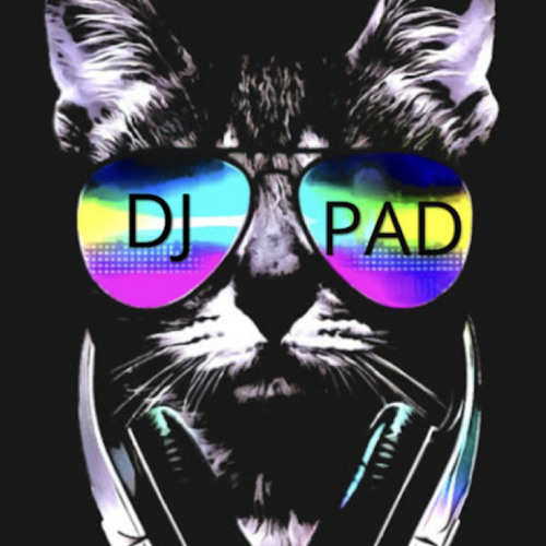 DJ Jintydecibels’s avatar