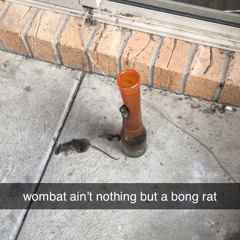 chat rap tings🫶🏼