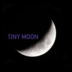 Tiny Moon