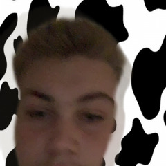 zxDavid