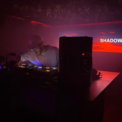 DJ SHADOW