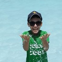 Mohmad Mohmoud