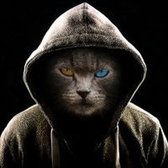 Игнат Пурга