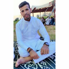 Ahmed Abdel'hady