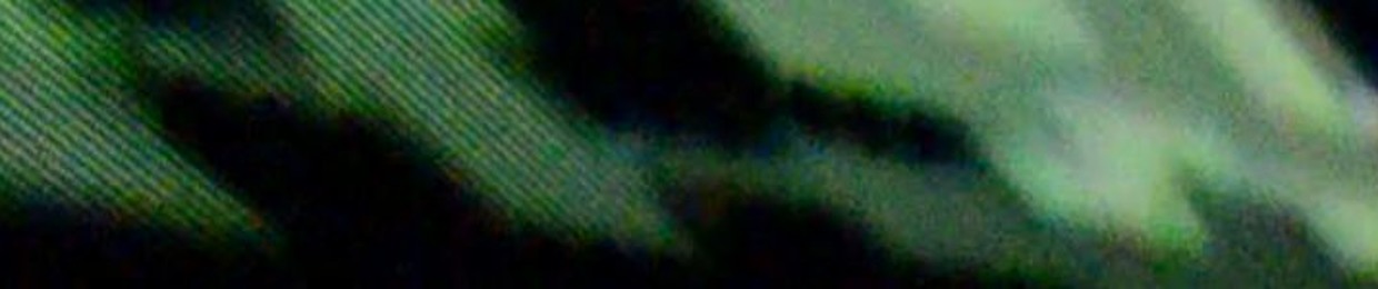 The Viewer