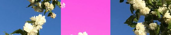 SoundCloud banner for @kelp
