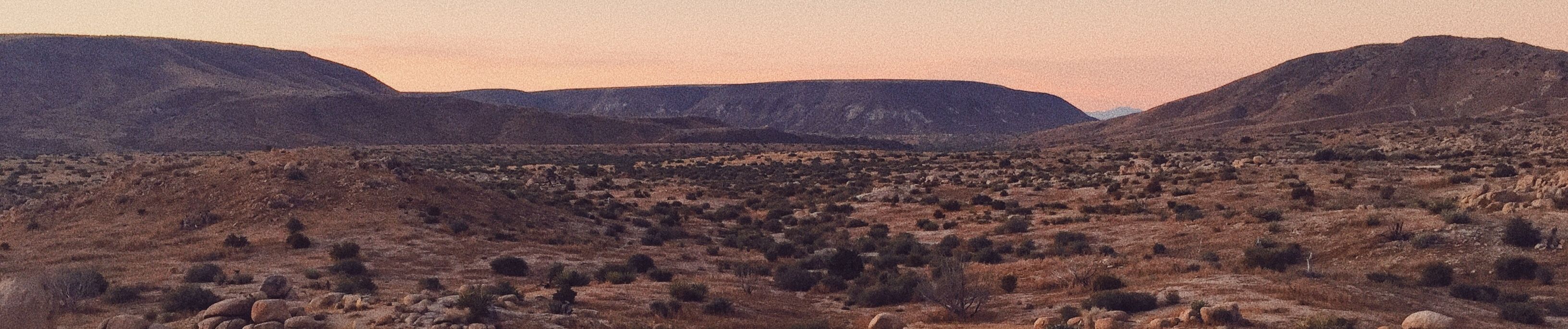 SoundCloud banner for @bird