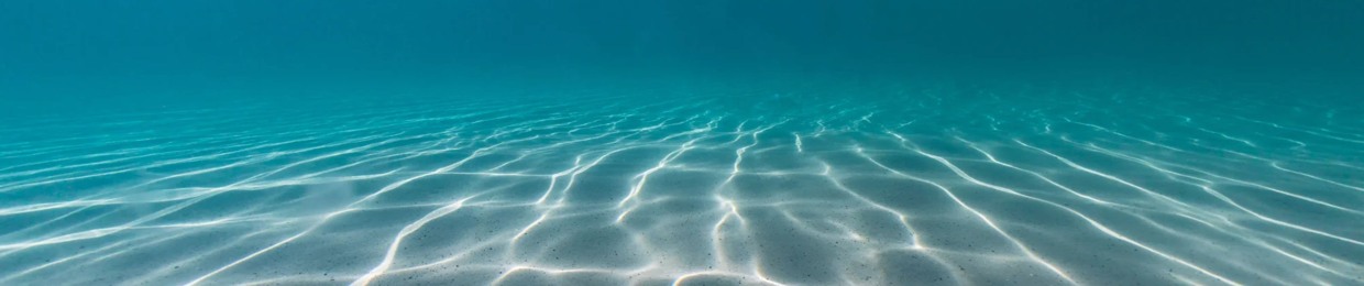 Submerge Recordings