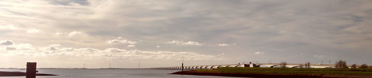 mnml.nl