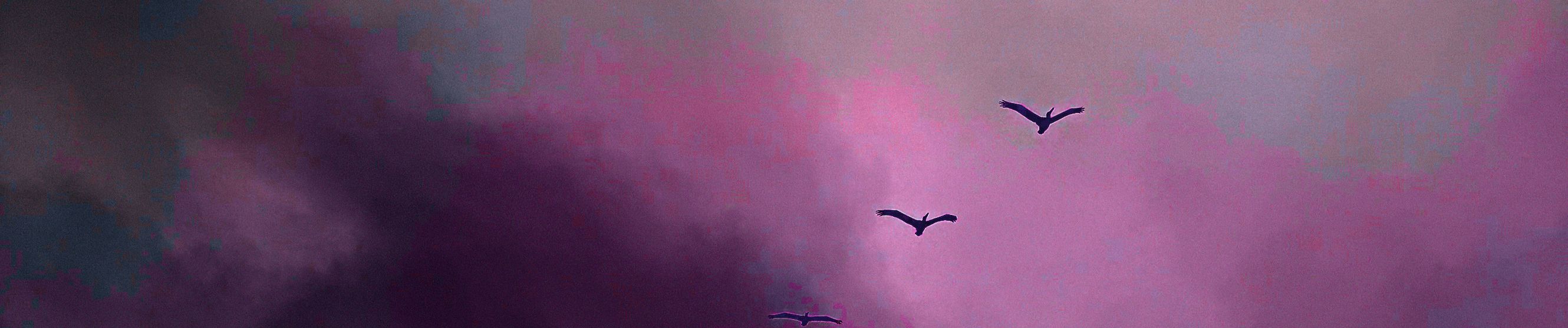 SoundCloud banner for @luga