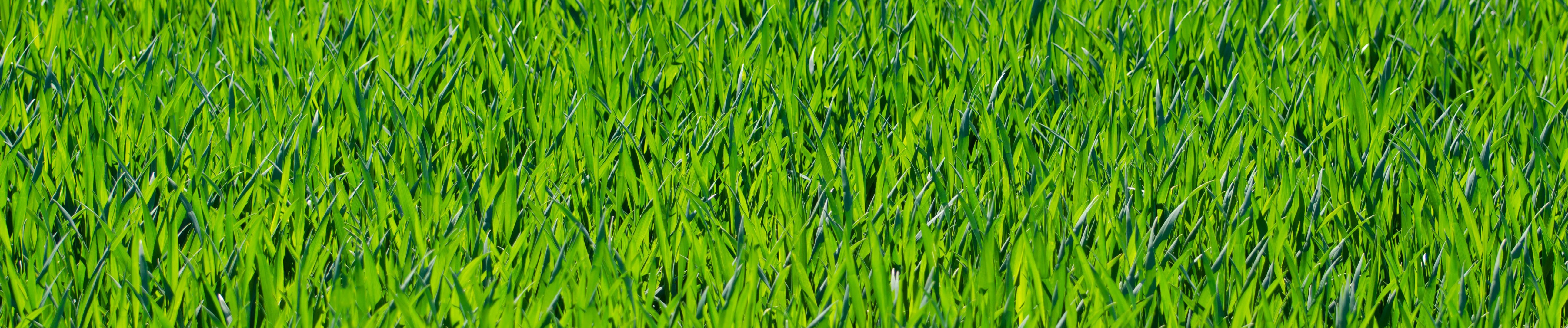 SoundCloud banner for @antonio
