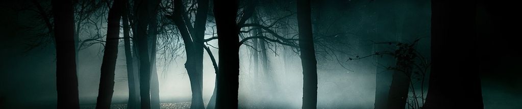 SoundCloud banner for @maxi