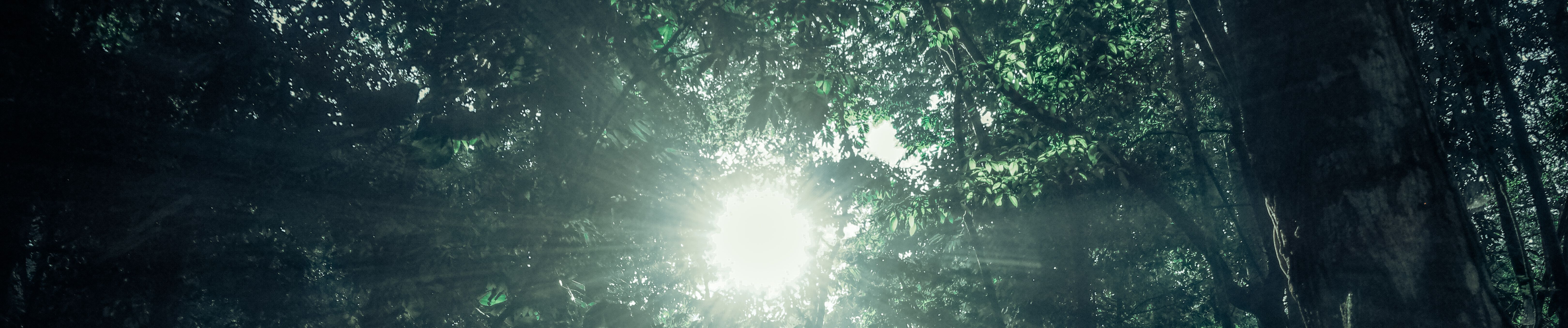 SoundCloud banner for @relapse