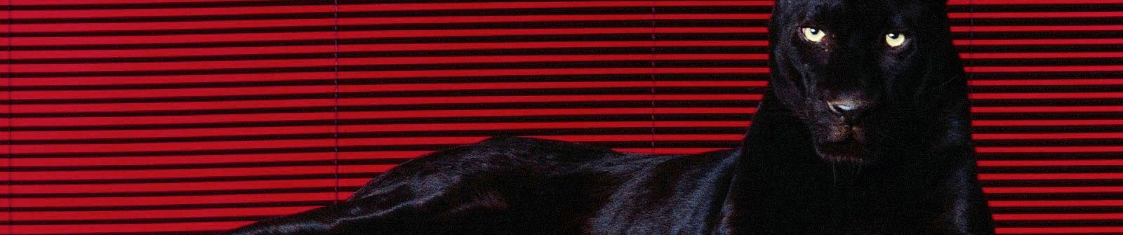SoundCloud banner for @degeneration