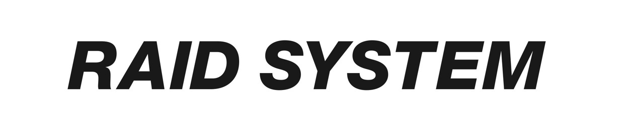 RAID SYSTEM