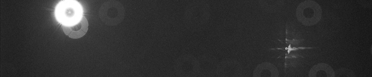 Benjamin Francis Leftwich Butterfly Culture Cillo Remix By Cillo benjamin francis leftwich butterfly