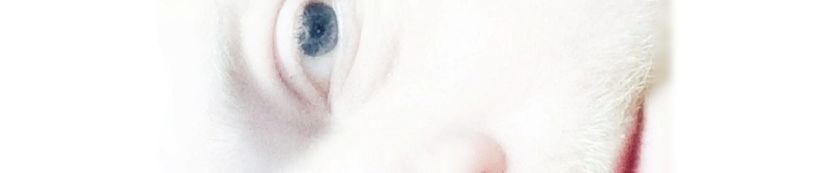 SoundCloud banner for @bah