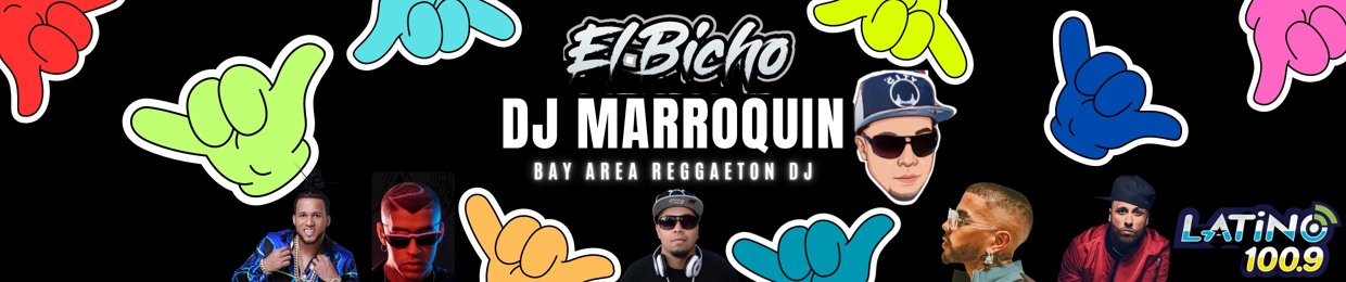 DJ Marroquin (EL BICHO)