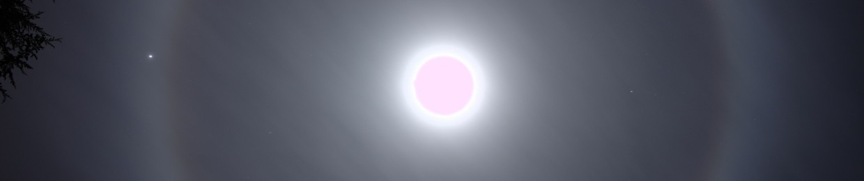 __Mizuki