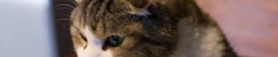SoundCloud banner for @chez