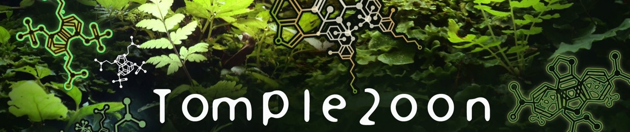 Tomple2oon