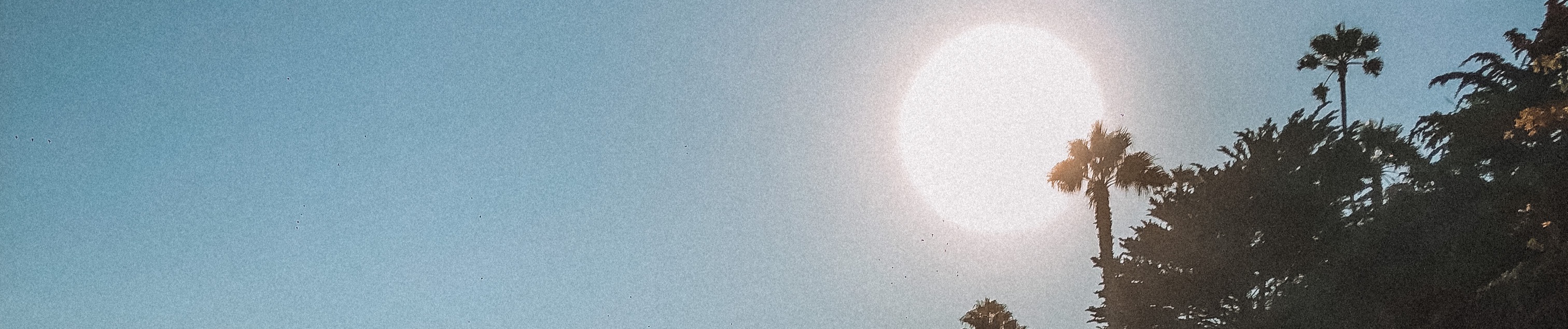 SoundCloud banner for @sea