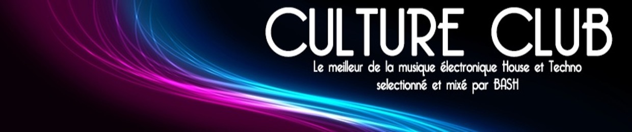 BashCultureElectro