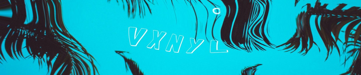 vхnyl