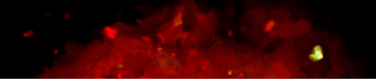 SoundCloud banner for @stray