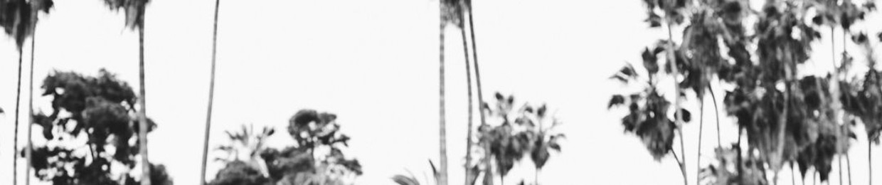 Black Flamingo