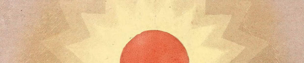 Sun Factory