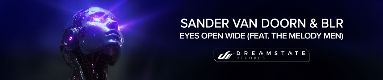 Sander van Doorn