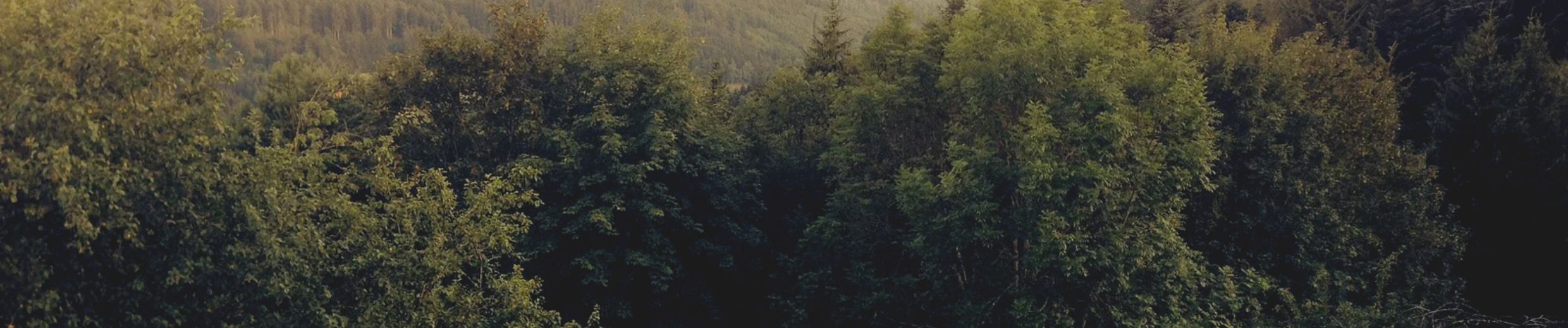 SoundCloud banner for @salomon