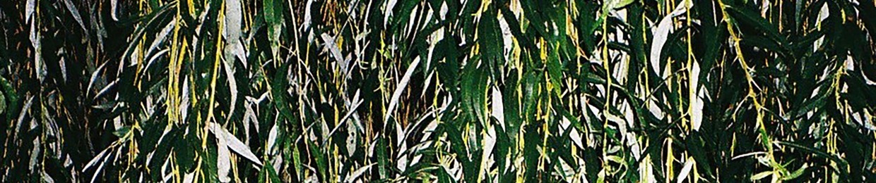 URSHTRAX / Ludwig Lurch