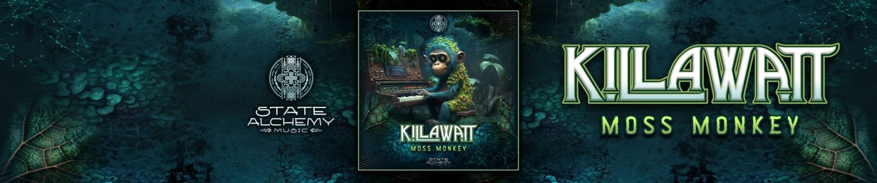 Killawatt / Particular