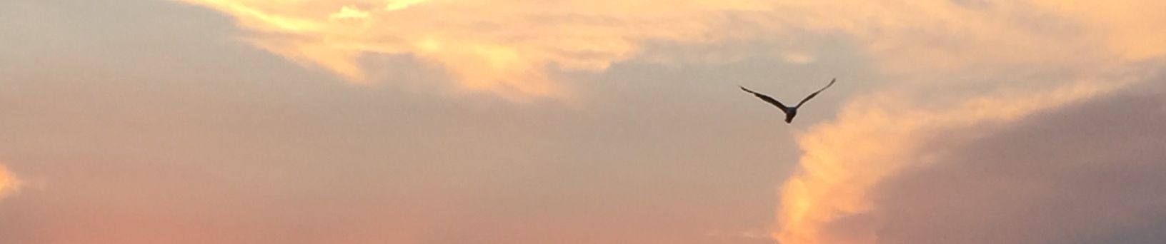 SoundCloud banner for @booger