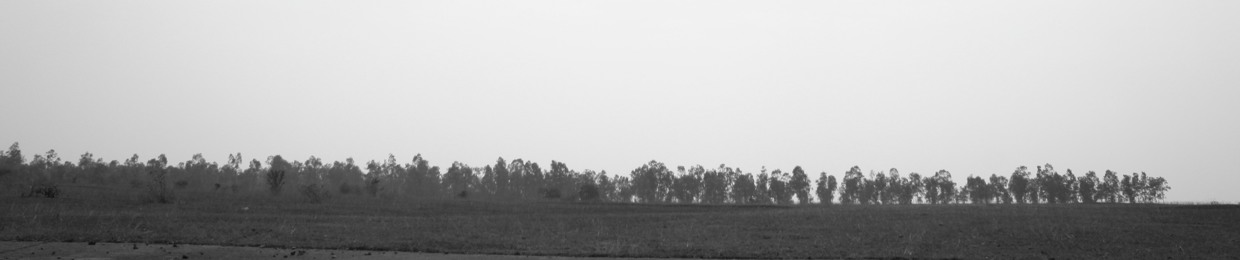 budhaditya