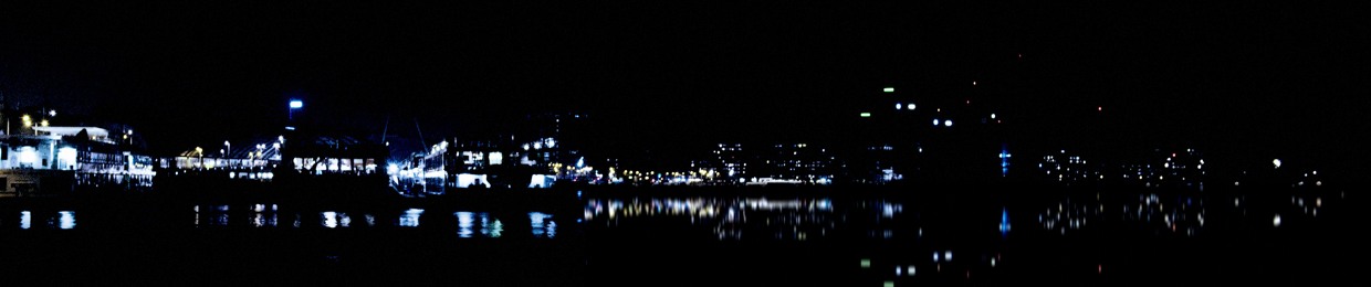 von rosenthal de la vegaz