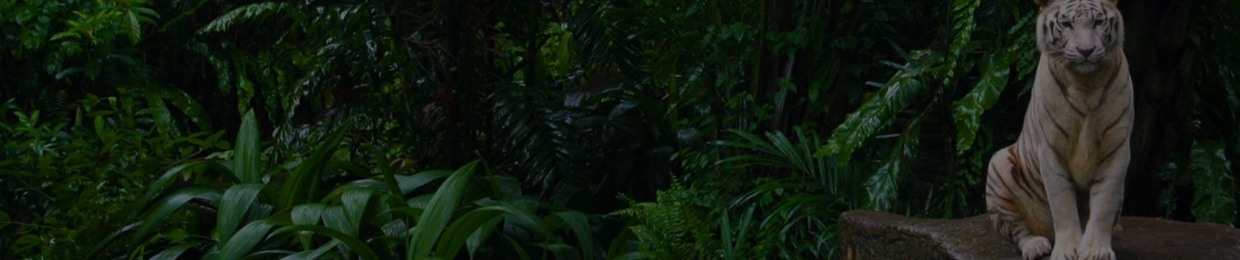 #TechHouse #TribalHouse