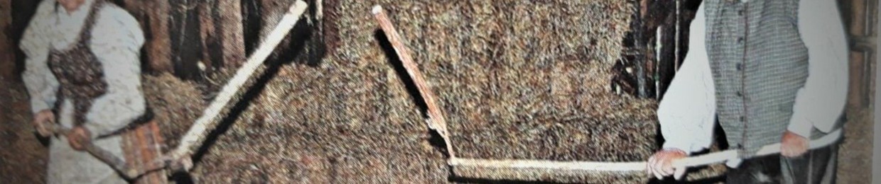 SHN