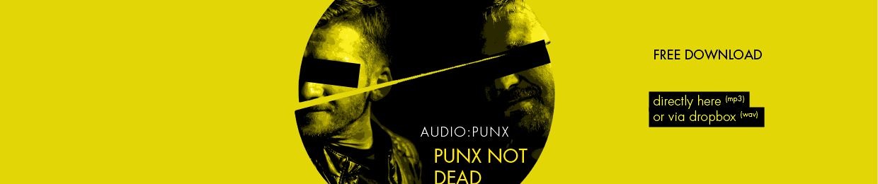Doc Ollinger | AUDIO:PUNX