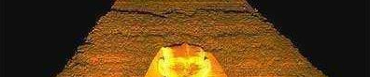 Pigeon Style Kung Fu