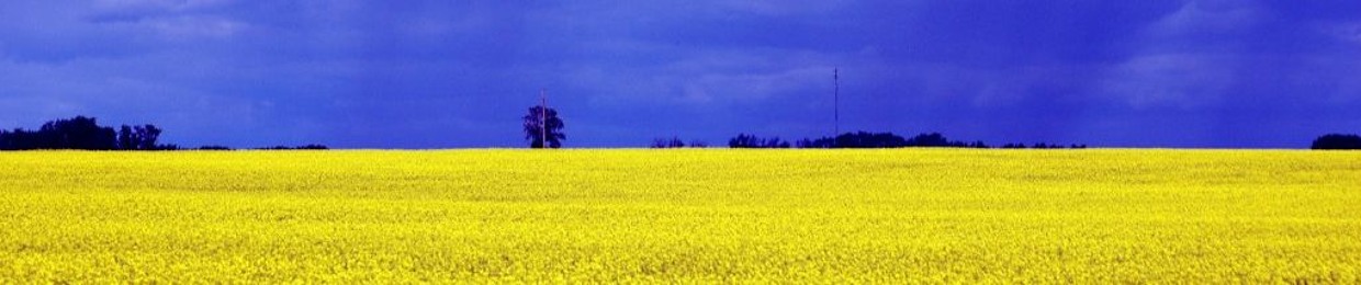 MixCult Records & Radio